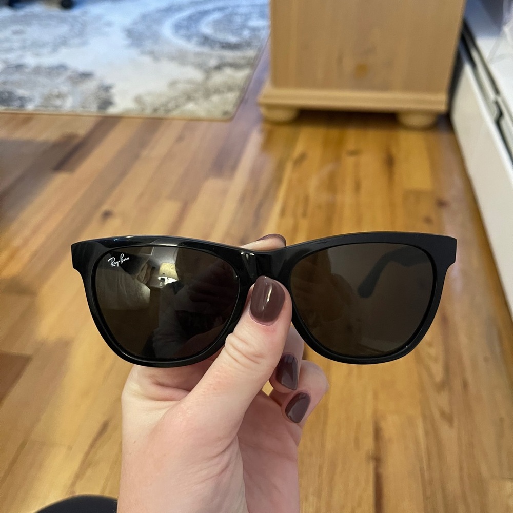 RayBan Wayfair Sunglasses